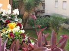 фото отеля B&B Nimfea