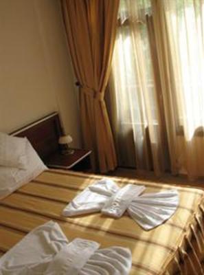 фото отеля Hotel Ami Baile Felix