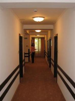 фото отеля Hotel Ami Baile Felix
