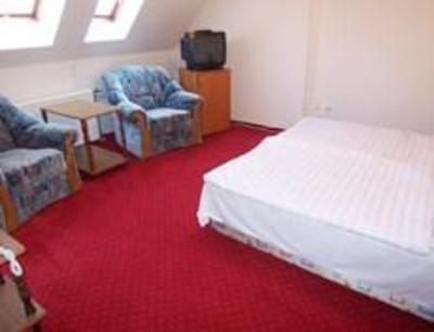 фото отеля Gesztenye Kastelyhotel