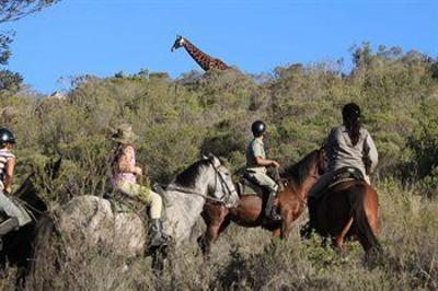 фото отеля Botlierskop Private Game Reserve