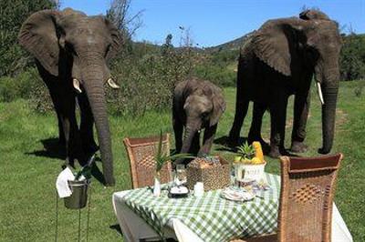 фото отеля Botlierskop Private Game Reserve
