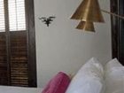 фото отеля Hotel Havana San Antonio