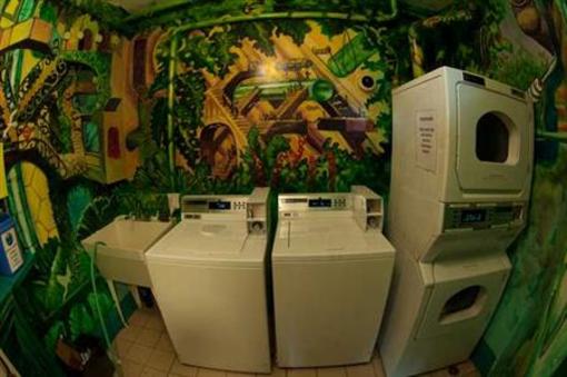 фото отеля Green Tortoise Backpackers Guesthouse