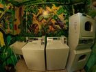 фото отеля Green Tortoise Backpackers Guesthouse