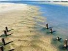 фото отеля Little Brak Beach House