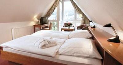 фото отеля Waldhotel Baerenstein