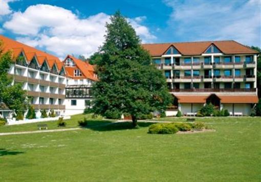фото отеля Waldhotel Baerenstein