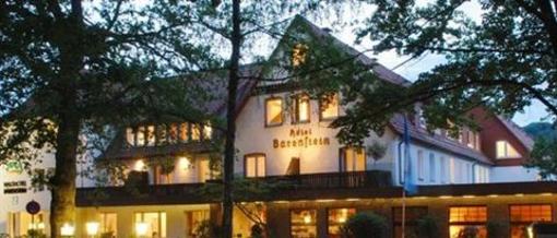фото отеля Waldhotel Baerenstein
