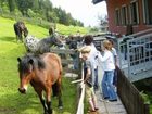 фото отеля Edi's Ferienwelt am Edthof Hotel Eben im Pongau