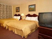 Comfort Inn Red Bluff