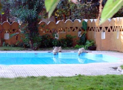 фото отеля Hotel Krishna Jabalpur