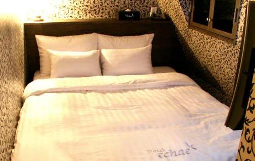фото отеля Hotel Echae