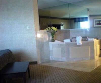 фото отеля Holiday Inn Grand Island Buffalo Niagara