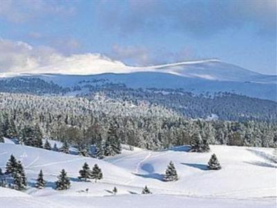 фото отеля Jiva Hill Park Hotel