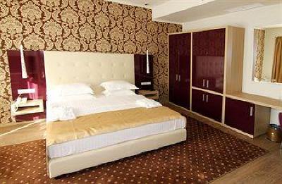 фото отеля Puscha Congress Hotel