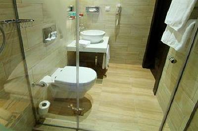 фото отеля Puscha Congress Hotel