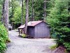 фото отеля Log Cabin Resort