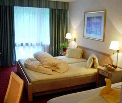 фото отеля Berghotel Lavenar