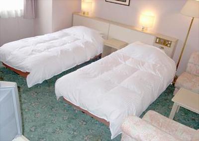 фото отеля Fukui Palace Hotel