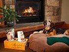 фото отеля Willows Lodge