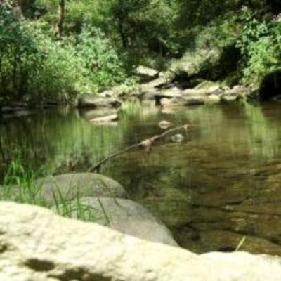 фото отеля Bauernhof Frühstückspension Schürz