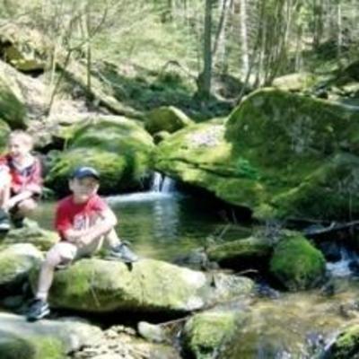 фото отеля Bauernhof Frühstückspension Schürz