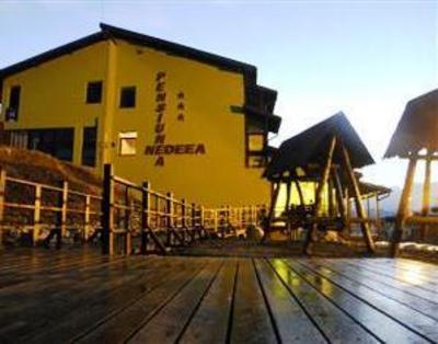 фото отеля Nedeea Hotel