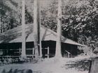 фото отеля Idleyld Lodge Inn