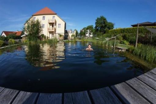 фото отеля Ad Vineas Gästehaus Nikolaihof Mautern an der Donau