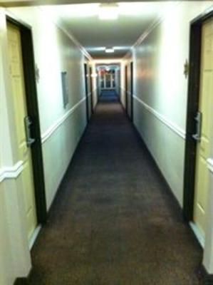 фото отеля Hollywood Stars Inn