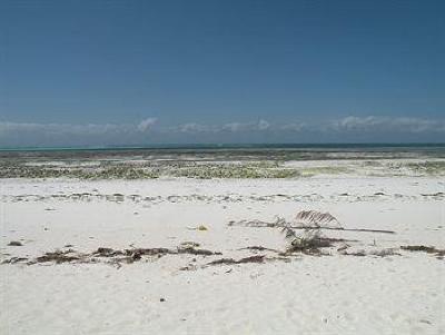фото отеля Mbuyuni Beach Village