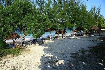 фото отеля Mbuyuni Beach Village