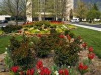University Plaza Hotel & Convention Center