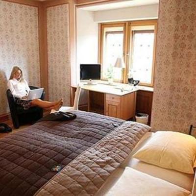 фото отеля Schloss Hotel Romrod