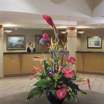фото отеля Buena Vista Suites