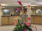 фото отеля Buena Vista Suites