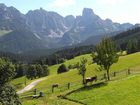 фото отеля Payrhof