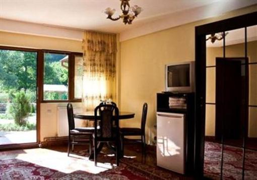 фото отеля Pension Cuibul Viselor