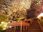 фото отеля Grand Prince Hotel Takanawa