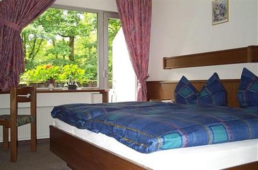 фото отеля Pension Haus Diefenbach Heimbach