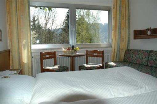 фото отеля Pension Haus Diefenbach Heimbach