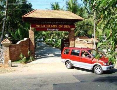 фото отеля Wild Palms Guesthouse