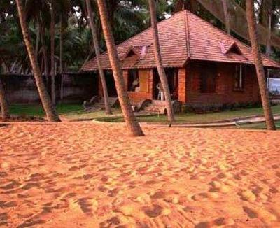 фото отеля Wild Palms Guesthouse