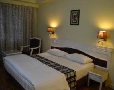 фото отеля Hotel Alpine Continental