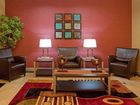 фото отеля Holiday Inn Express Hotel & Suites Vidor South
