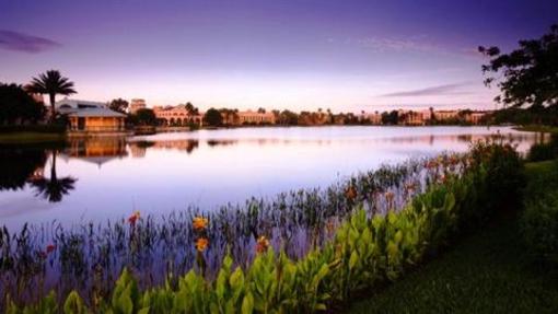фото отеля Disney's Coronado Springs Resort