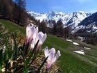 фото отеля Alpin Royal Wellness & Resort Hotel Ahrntal