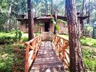фото отеля Cabañas Mi Chosita