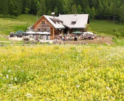 фото отеля Schuttbauern Alm